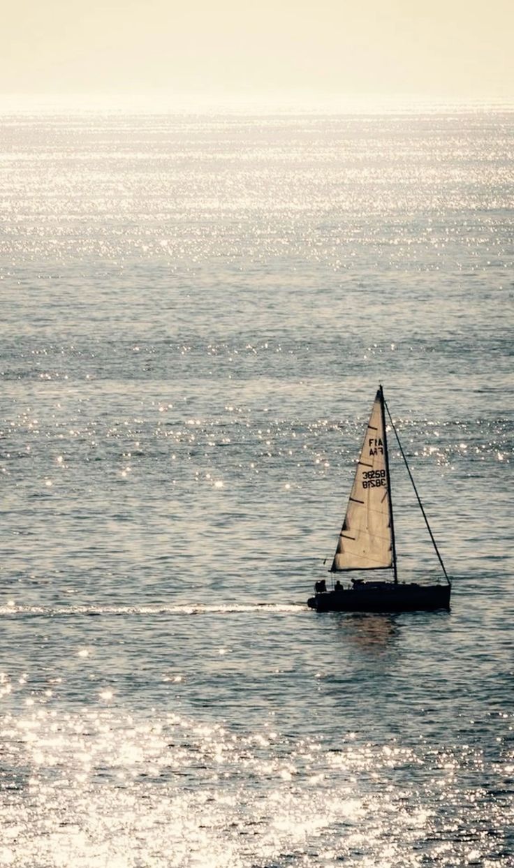 Sailboat